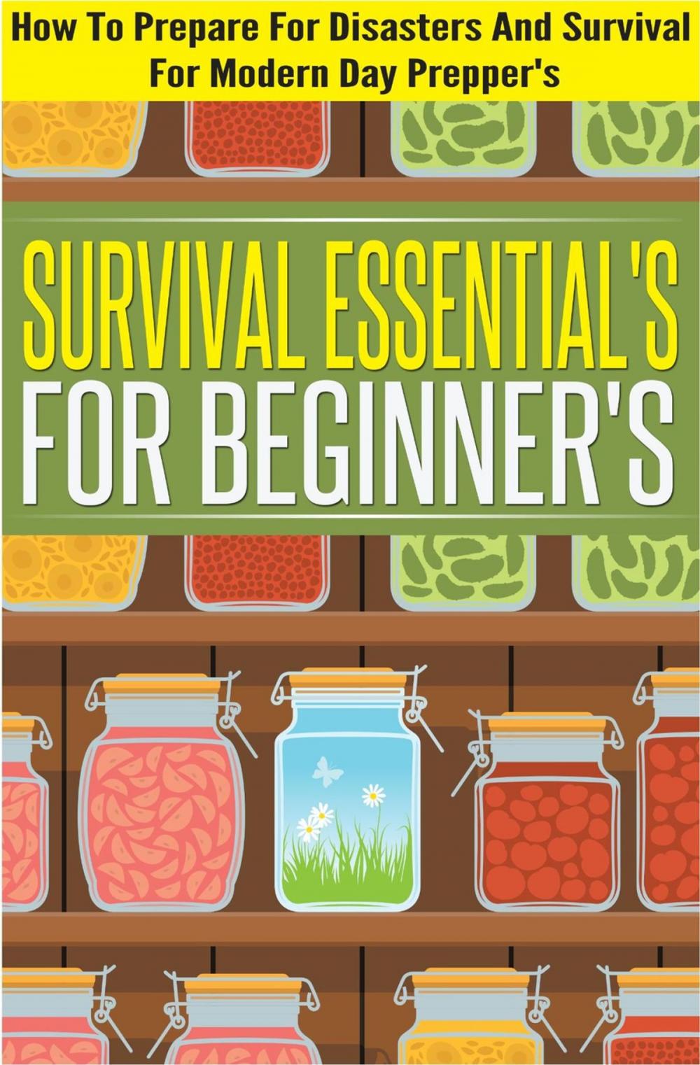 Big bigCover of Survival Essentials For Beginners - How To Prepare For Disasters And Survival For Modern Day Preppers
