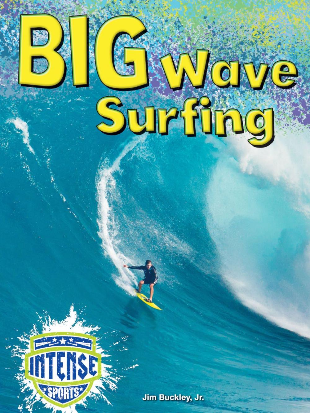 Big bigCover of Big Wave Surfing