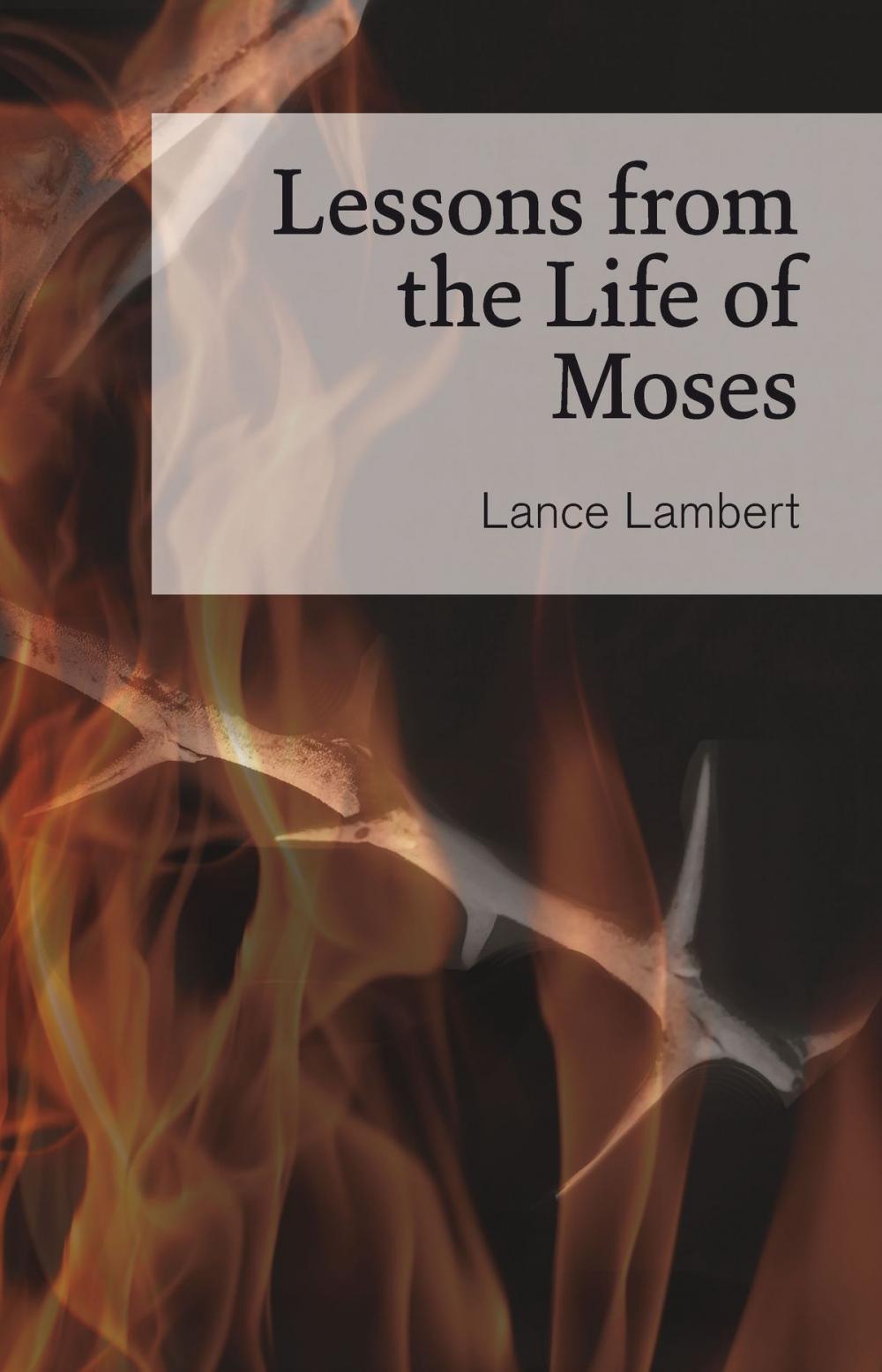 Big bigCover of Lessons from the Life of Moses