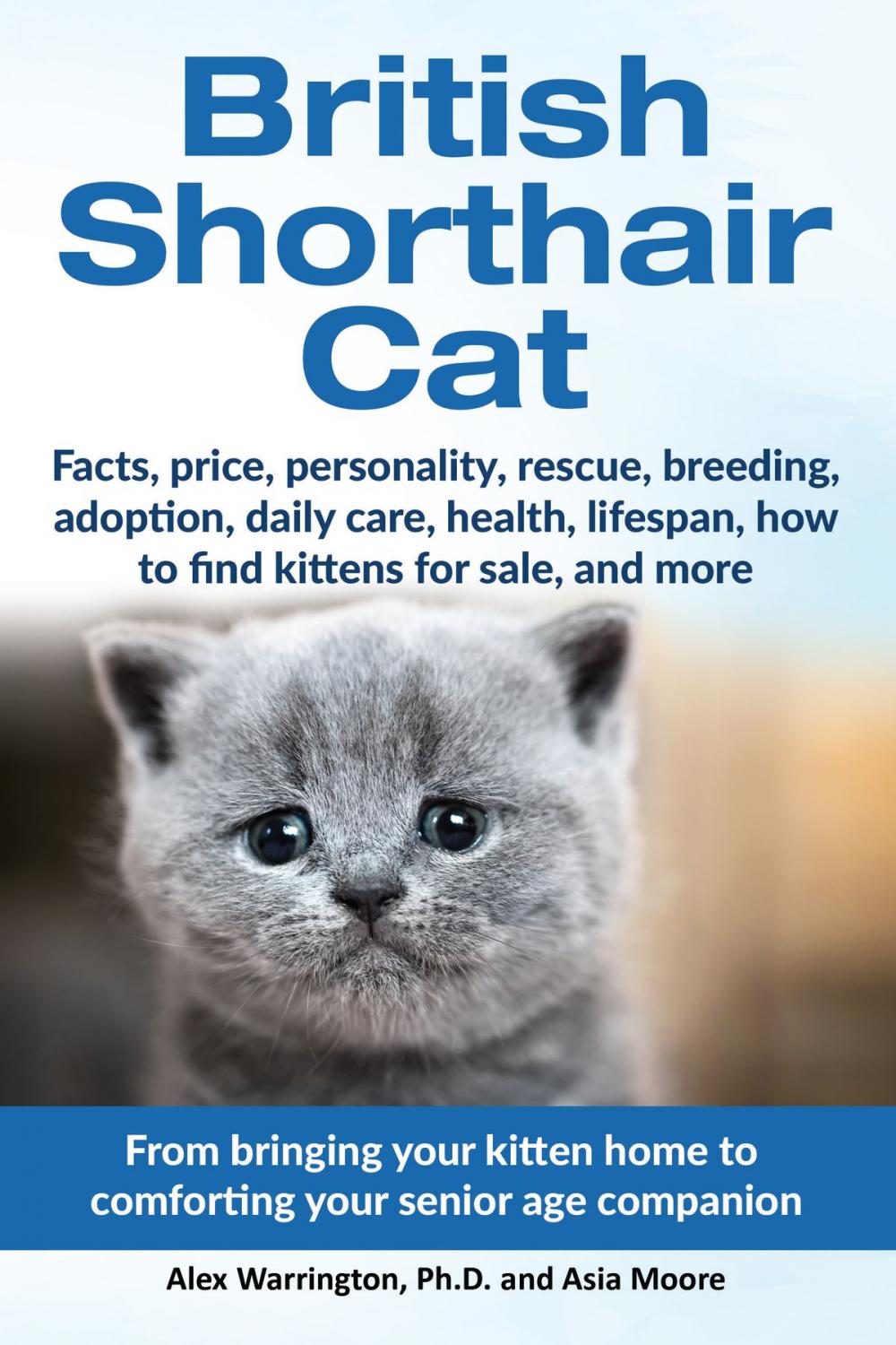 Big bigCover of British Shorthair Cat: From Bringing Your Kitten Home to Comforting Your Senior Age Companion