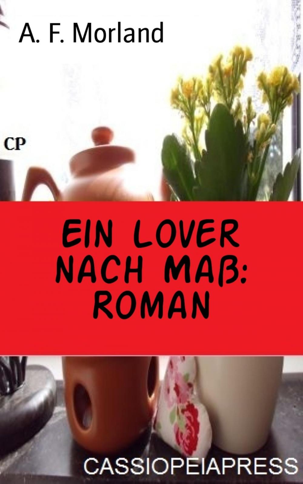 Big bigCover of Ein Lover nach Maß: Roman