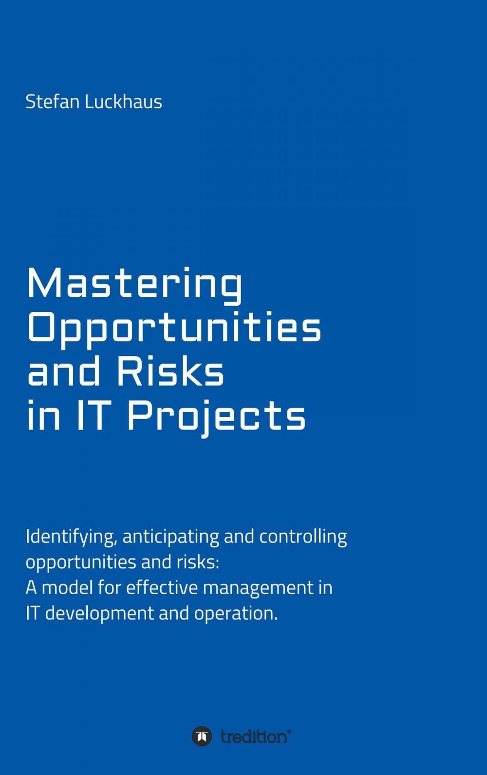 Big bigCover of Mastering Opportunities and Risks in IT Projects