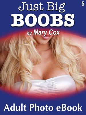 Cover of the book Just Big Boobs, Vol. 5 by Brandon Red
