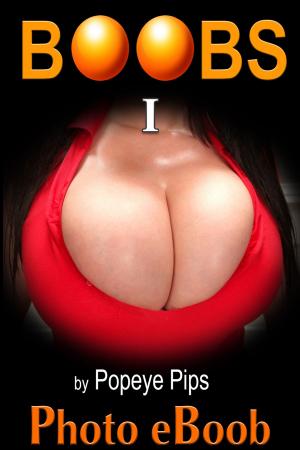 bigCover of the book Boobs, No. 1 by 