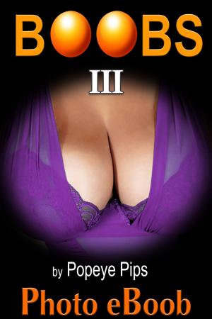 Cover of the book Boobs, No. 3 by Kate Cassidy