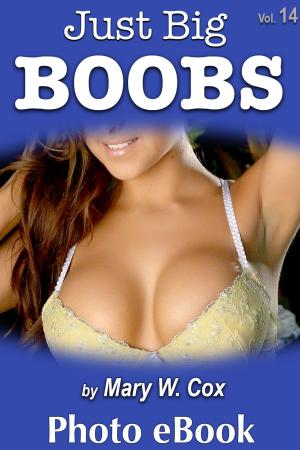 Book cover of Just Big Boobs, Vol. 14