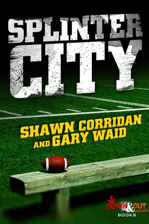 Cover of the book Splinter City by J.L. Abramo