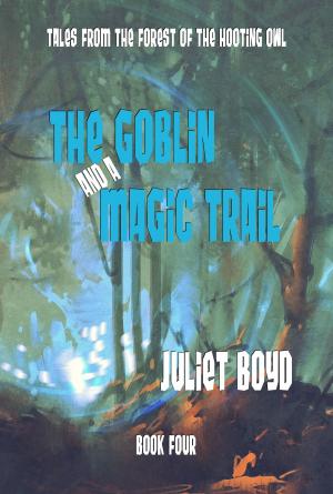 Cover of the book The Goblin and a Magic Trail by Juliet Boyd