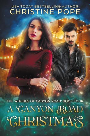 Cover of the book A Canyon Road Christmas by Eliza March (E.L. March)