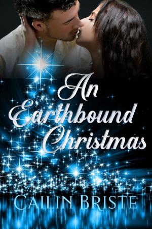 Cover of An Earthbound Christmas