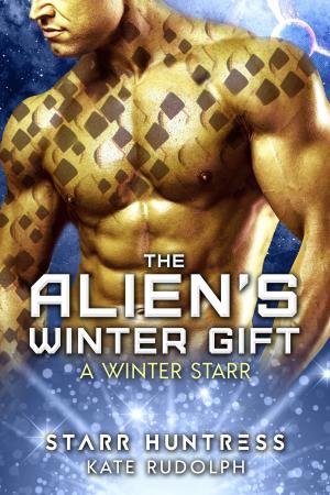 Cover of the book The Alien's Winter Gift by Raquel Lyon