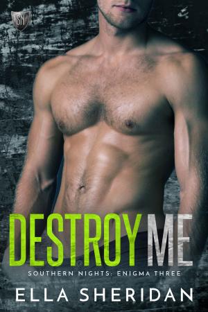 Book cover of Destroy Me