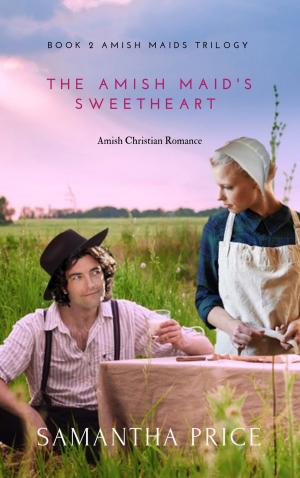 bigCover of the book The Amish Maid's Sweetheart by 