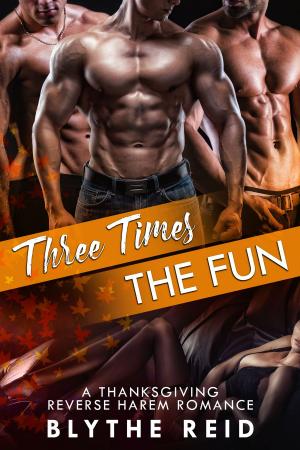 Book cover of Three Times the Fun