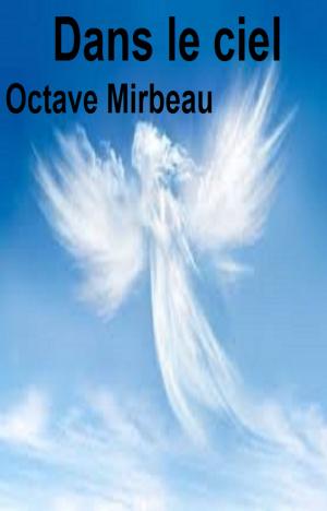 Cover of the book Dans le ciel by Evariste Huc