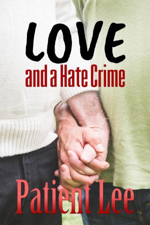 Cover of the book Love and a Hate Crime by Brooke Adams
