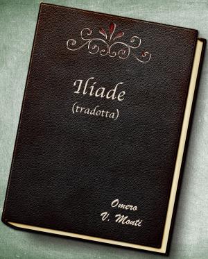Cover of the book Iliade by N.W. Moors