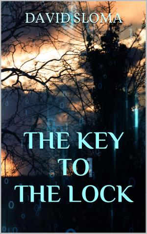 Cover of the book The Key to the Lock by Ben Godfrey