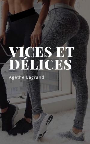 Cover of the book Vices et délices by Amanda T Lee