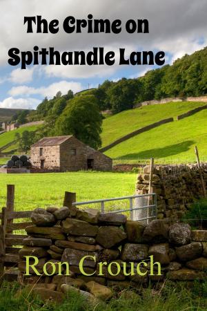 Cover of The Crime on Spithandle Lane