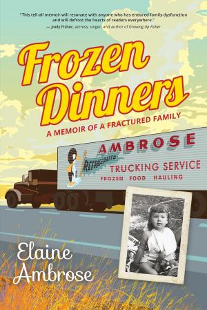 Cover of the book Frozen Dinners by Terri W. Godwin