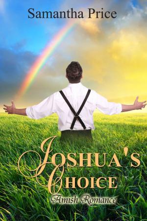 Book cover of Joshua's Choice