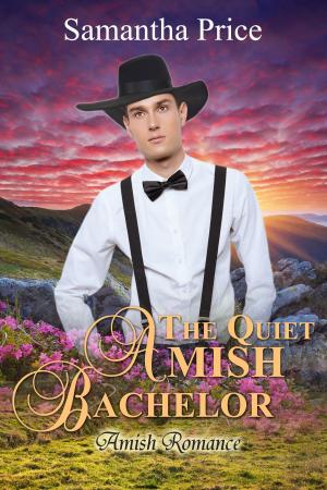 Book cover of The Quiet Amish Bachelor