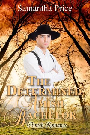 Cover of The Determined Amish Bachelor