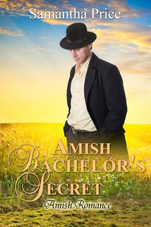 Book cover of Amish Bachelor's Secret