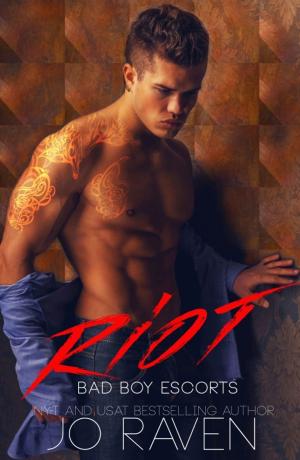Cover of the book Riot by Sarah Castille