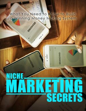 Cover of the book Niche Marketing Secrets by Imran Naseem