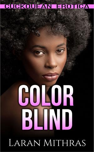Cover of the book Color Blind by Susan Meier