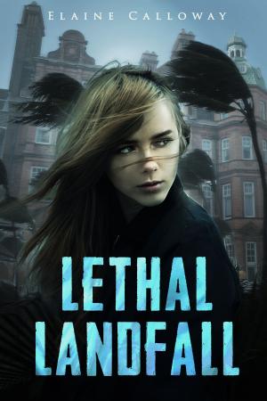 Cover of the book Lethal Landfall by Rachel Van Dyken