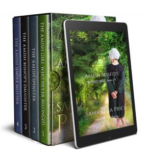 Book cover of Amish Romance Boxed Set: Amish Misfits Books 1 - 4
