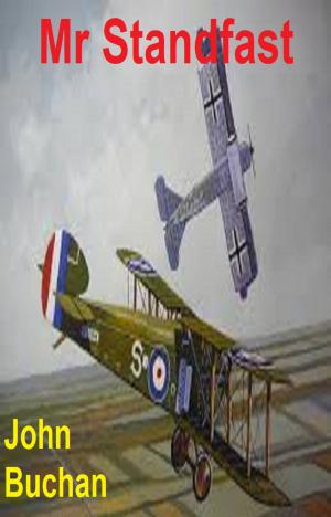 Cover of the book Mr Standfast by Doug Paton