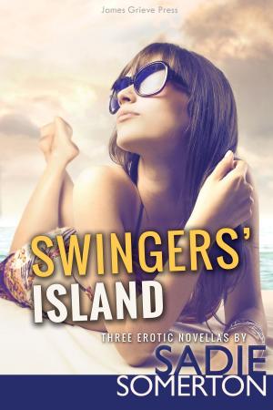 Cover of the book Swingers' Island by Polly J Adams