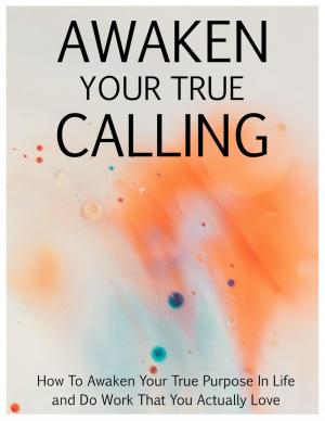Book cover of Awaken Your True Calling