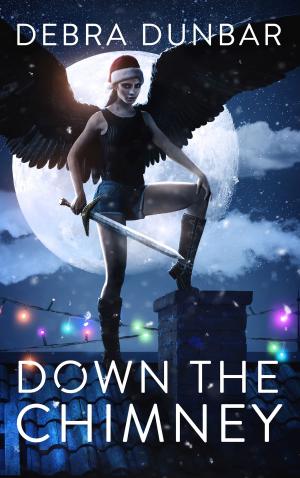 Book cover of Down The Chimney