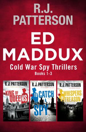 Cover of the book The Ed Maddux Series: Books 1-3 by R.J. Patterson