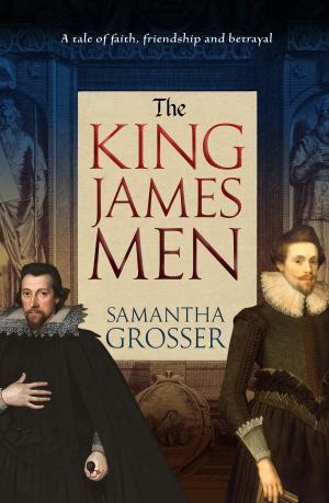 bigCover of the book The King James Men by 