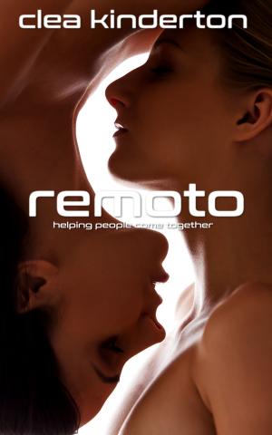 Cover of the book Remoto by Mylan Allen