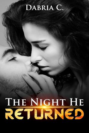 Cover of the book The Night He Returned by Sandra Spice