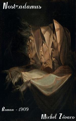Cover of the book Nostradamus by Laetitia Milot