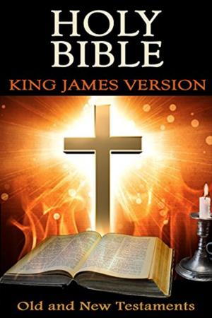 Book cover of Holy Bible [KJV] Easy Read and Fast (Old + New Testament)