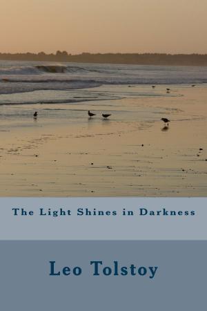 Cover of the book The Light Shines in Darkness by Benjamin Franklin