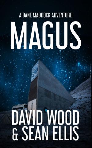 Cover of the book Magus by David Wood, Rick Chesler