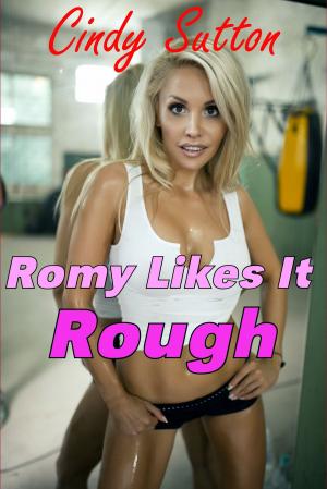 Cover of the book Romy Likes It Rough by John Waylon