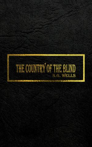 Cover of the book THE COUNTRY OF THE BLIND by Brian Clopper