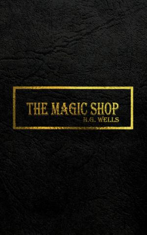 Cover of the book THE MAGIC SHOP by Michele Jones
