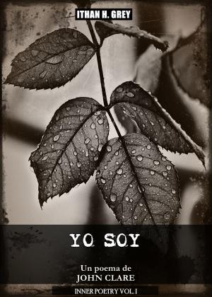 Book cover of Yo Soy